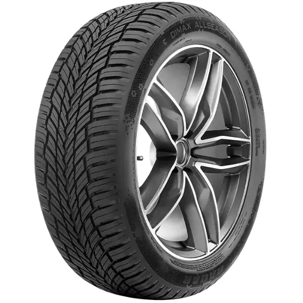 Anvelope Radar DIMAX ALL SEASON                                                                                                    195/55R15 89V (3PMSF,M+S,XL ) Transport gratuit