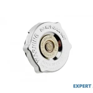 Buson vas expansiune Chrysler Voyager 4 (2000-2008) [RG] #1 Cumpărături sigure