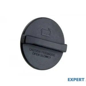 Reducere Capac radiator Mercedes Vito (2003->) [W639] #1