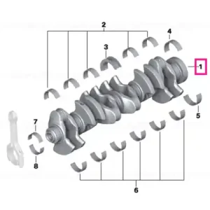 Arbore cotit - BMW Super ofertă