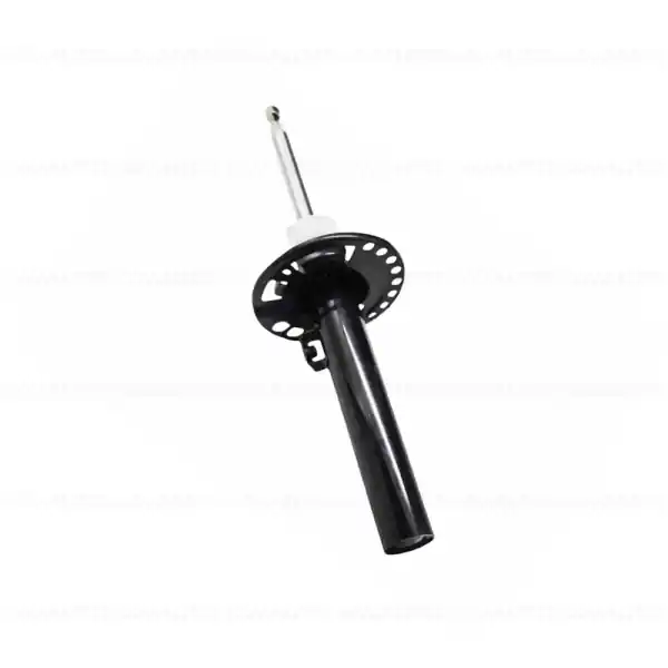 Amortizor suspensie, punte fata, dreapta - BMW X3 G01 Premium